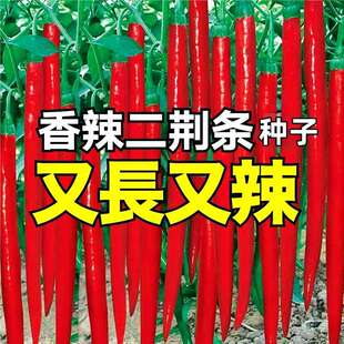 �����t���������N�Ѷ��G�l8819�����N�Ӵ���Nֲ����΢�������N��