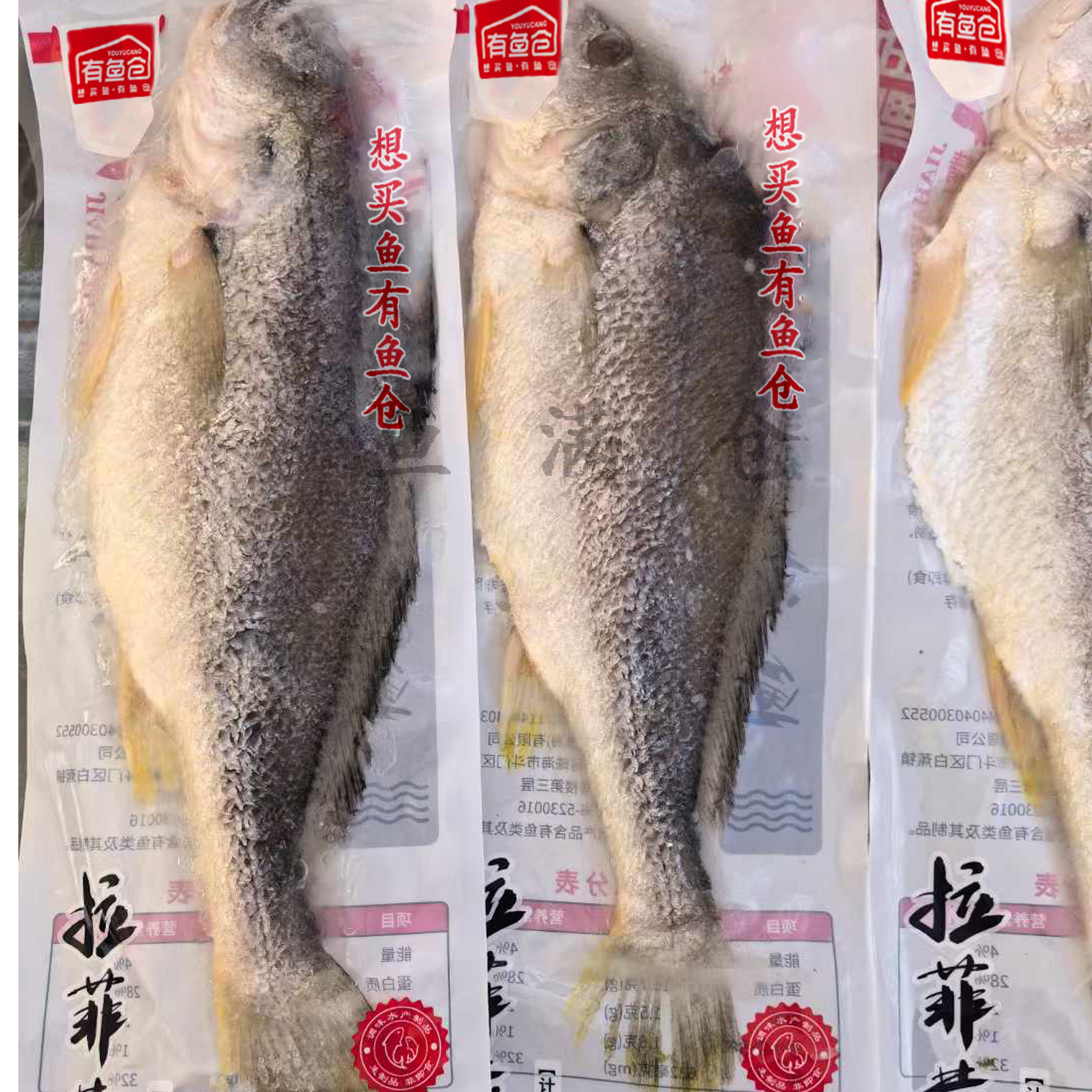 有鱼仓拉花黄鱼 冷冻拉菲黄鱼鲜活速冻大黄花鱼海鲜开背黄鱼酒店