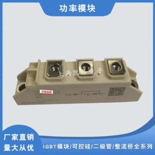 SKKD170F12 SKMD202E02 SKMD202E03 SKKD205F06快恢复二极管模块