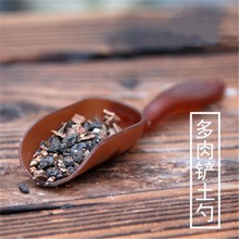 苔藓微景观多肉植物铲土勺 园艺工具 多肉配件 撒沙器 塑料勺