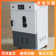 【深圳良谊】DZF-6210真空干燥箱(数显) 真空烘箱 带真空泵