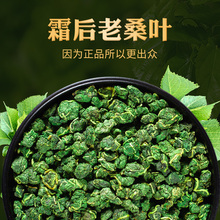 霜后桑叶茶500g霜打过的桑叶霜降秋后桑树叶非特官方旗舰店级