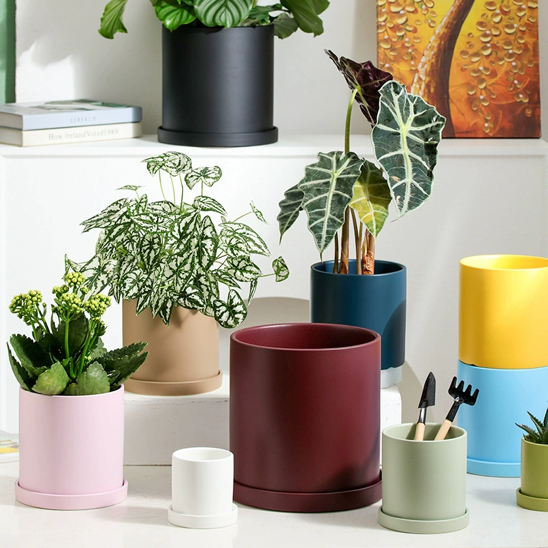Керамический цветочный горшок с подносом, повседневный офисный суккулентный зеленый цветок, небольшой дышащий горшок для растений