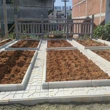 ��Ʒ�˴u�·�ϰ�ͥԺ�ϰ�������@ˮ�����˵�ʯ·��ģ�߲˲���