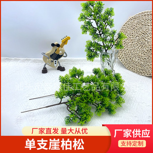 ����ӭ�����������29Ŀ�°��ɼ�����辰�Gֲ�쾰��������ɘ�֦