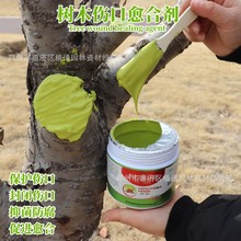 ľTĤډTaτֲ޽ӂ䌣