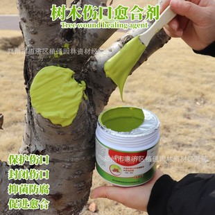 ��ľ�TĤ�����ډT�a��������τ�ֲ��޽ӂ����������䌣��