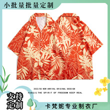 Ļrж2022ļɳȼϵӡrС