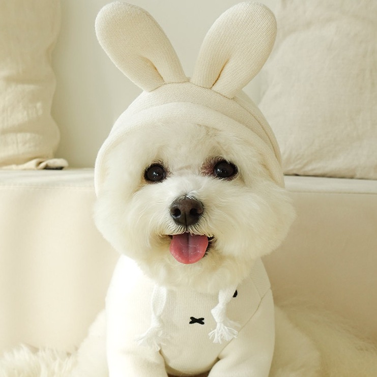 En stock INS invierno mascota perro gato conejo oso tridimensional oreja con Capucha forrada de lana engrosada ropa de baño de algodón cálido