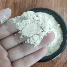 ����ľ�w�S�� �������I������100Ŀľ�w�S�������V����ľ�|���w�S