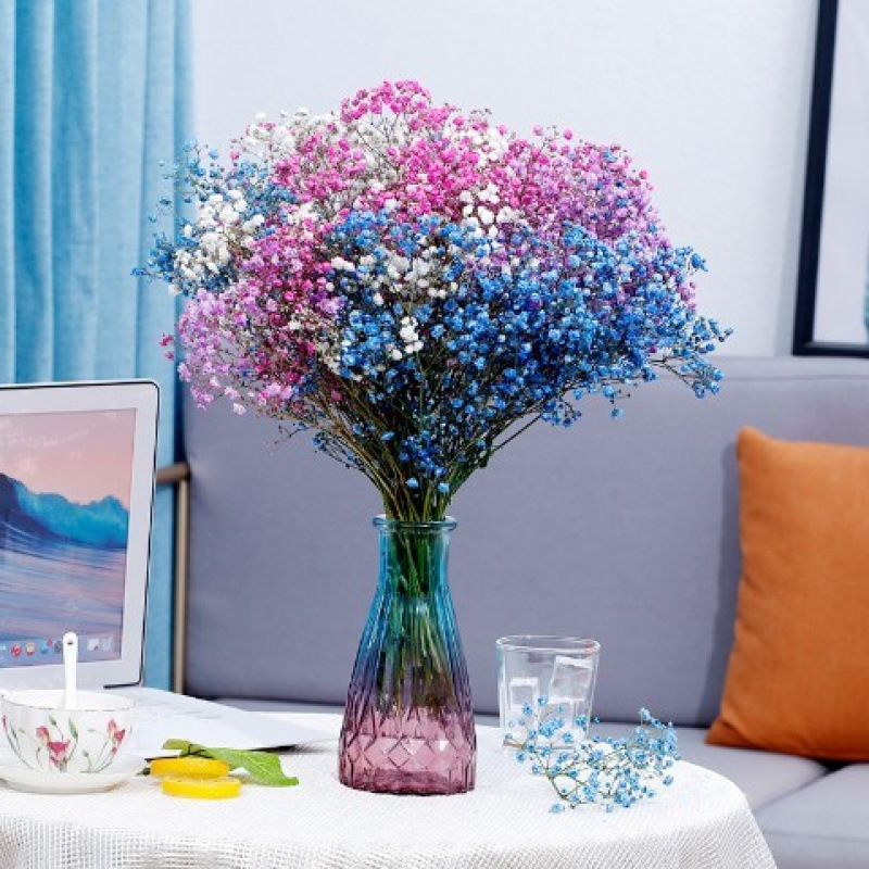 화이트+퍼플+로즈 레드+사파이어 블루 안개꽃-꽃병 없음