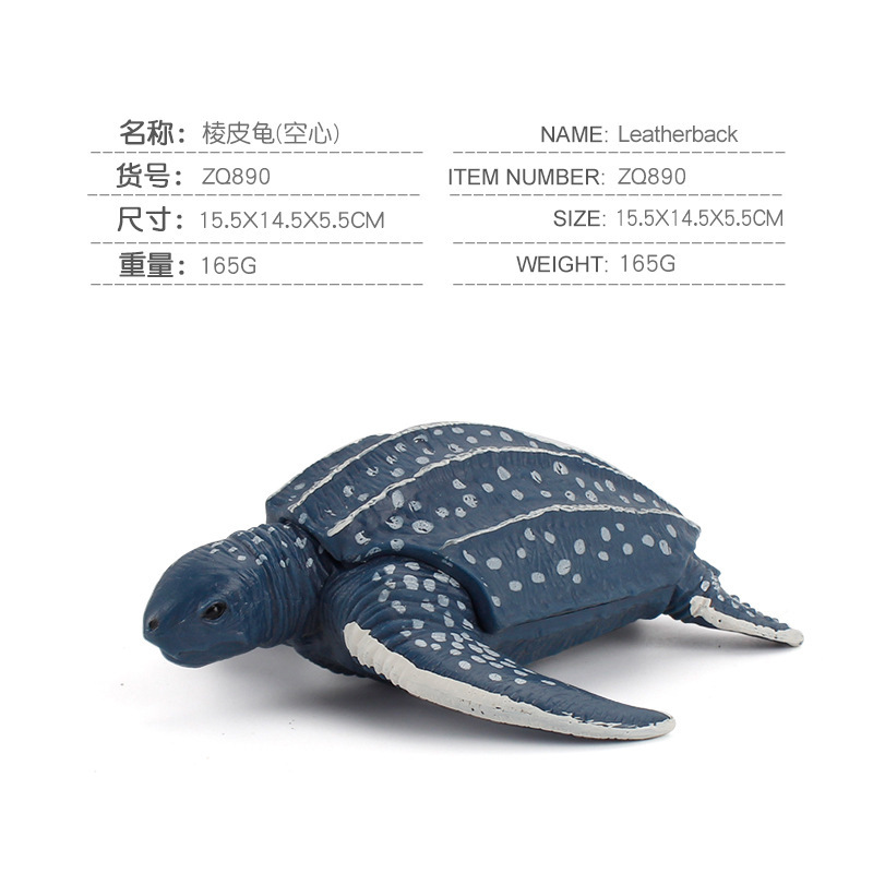 890 tortuga laúd 165g