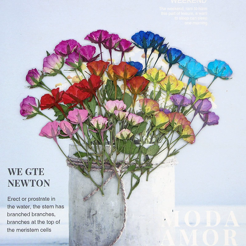 Yuewei цветок с несколькими головками сушеный цветок тисненый образец растения листья Ручной Работы Фоторамка клей капля DIY закладка материал перегородка