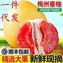 紅心柚子西柚10斤梅州琯溪紅肉蜜柚新鮮當季水果9箱批發一件代發