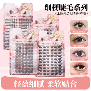 ʮ���zˮ��ٽ�ë�K槼���ë��Ȼ���N�p���δ����R������ܛ�ֶ�ʽ