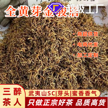 茶叶武夷山黄芽金骏眉特级红茶散装茶2025新茶批发武夷蜜香型
