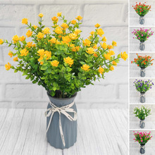 ���R�d���컨 �羳�����ȼ����軨���ϻ��Ҿ��b� ���滨�ٻ����l