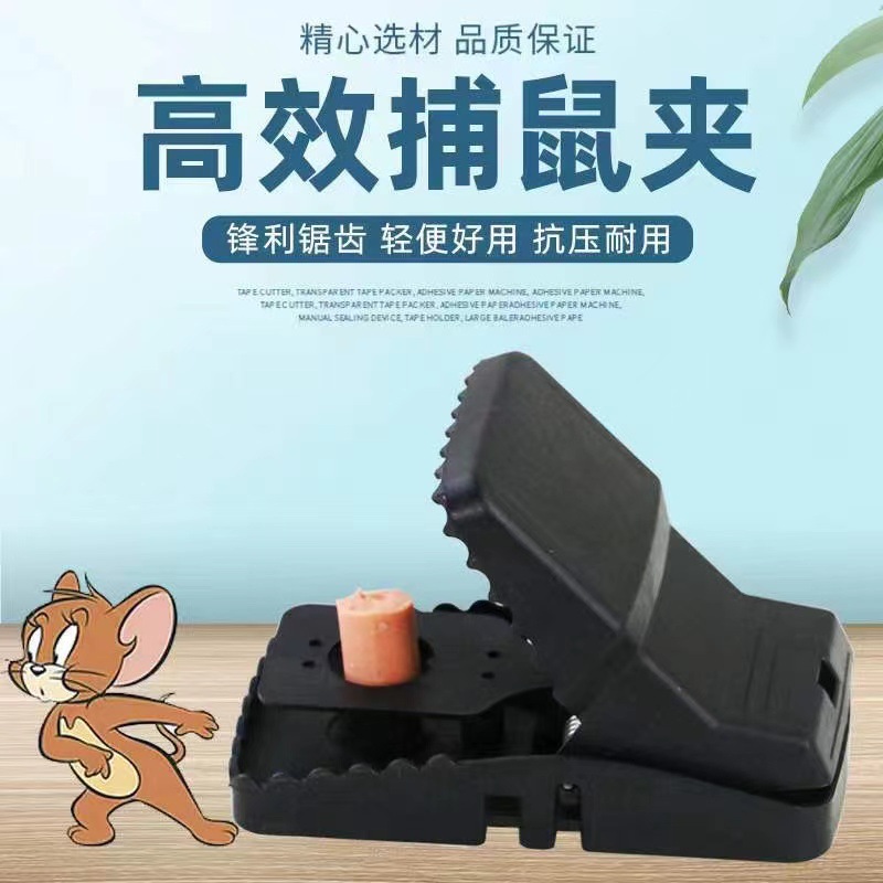 微信图片_20240805090217