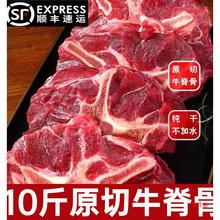 10斤满肉牛脊骨牛骨头新鲜带肉牛蝎子牛龙骨牛脖骨炖汤牛脊骨