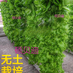 Confucian Style Column Balcony Three-Dimensional Planting Column-Type Soilless Cultivation Equipment Vegetable Flower Plant Aeroponic Planting Cup