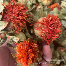 �ܽ����ؔ��t����  �t���^ �t���z���lһ��40��ɢ�b��؛�t����