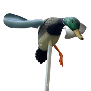�羳�����C�T�D�����L���T����Wind teal�����L�����D��CӖ��