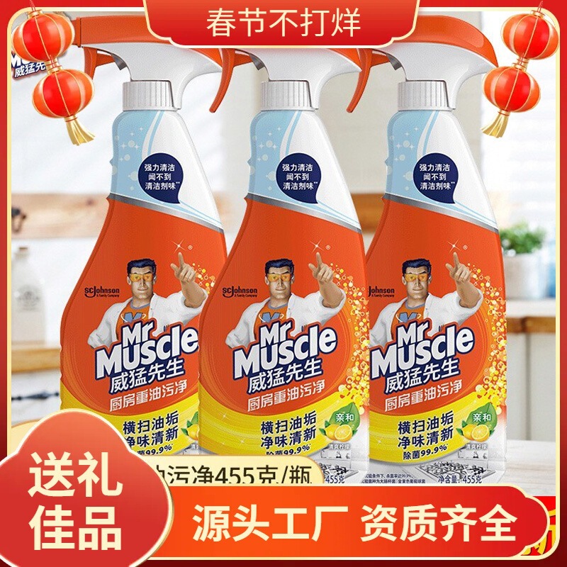 Powerful Oil Stain Cleaner 500g Kitchen Heavy Oil Stain Cleaner Range Hood Cleaning Agent Stain Removal and Oil Remover Free Shipping