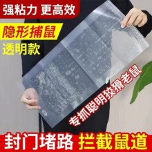 强力粘鼠板超大号捕鼠魔毯老鼠粘大老鼠神器家用透明老鼠贴老鼠板