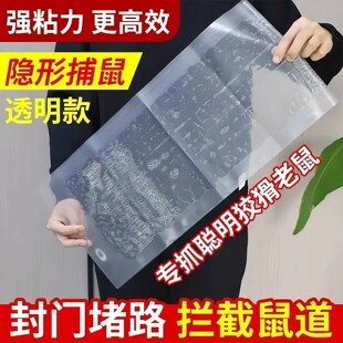 ����ճ��峬��̖����ħ̺����ճ��������������͸�������N�����