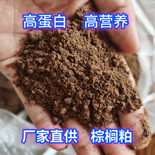 �ؙ��ɴ������l�Bֳ���ι�iţ���u����ϸߵ����ؙ��������S�F؛