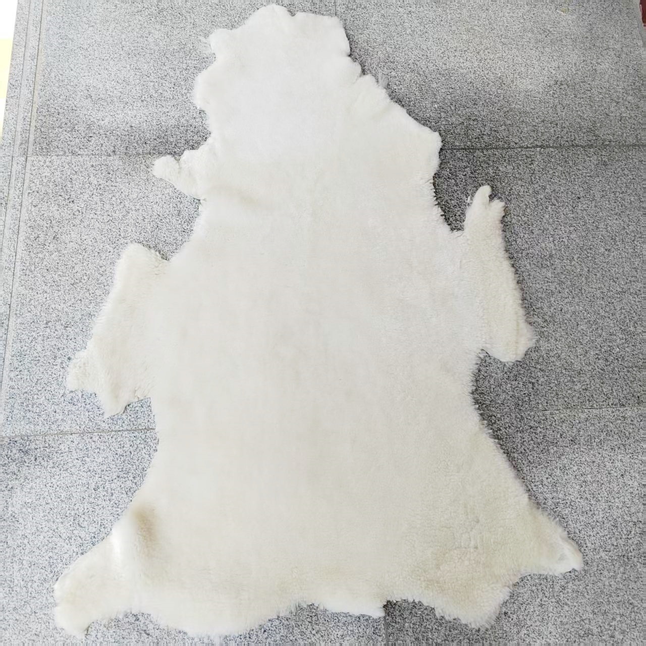 微信图片_20250617101017