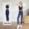 Xingyao Hei+Xiang Whale Blue