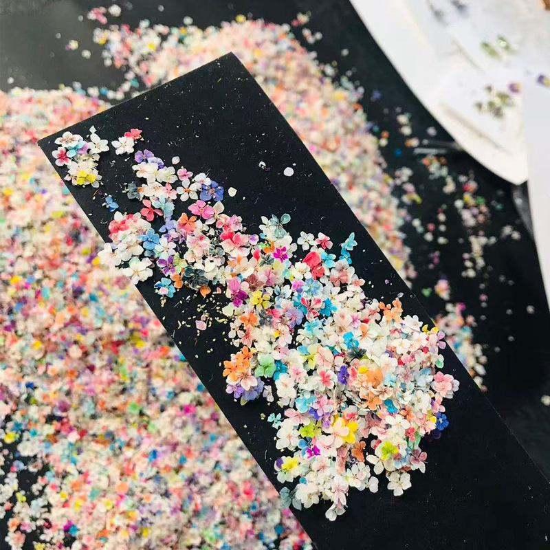 Nail Art Dried Flowers Mixed Colors Ins Style Natural Real Flowers Small Flowers Pressed Flowers Nail Art Material Pack Dried Flower Materials Wholesale Nail Art Dried Flowers Mixed Colors Ins Style Natural Real Flowers Small Flowers Pressed Flowers Nail Art Material Pack Dried Flower Materials Wholesale