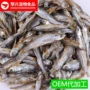 动物宠物饲料