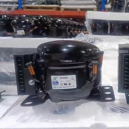 2024-04-30 10:56:55.jpg