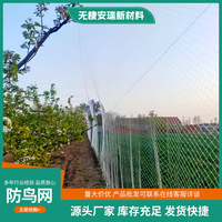 源头厂家果园防鸟用网樱桃树葡萄树果树防鸟网尼龙养殖网鱼塘天网