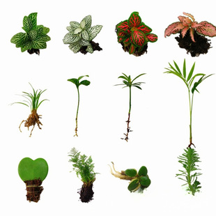 ̦\΢^DIY Wy݆wֲrGֲBˮꑸ쾰ާ