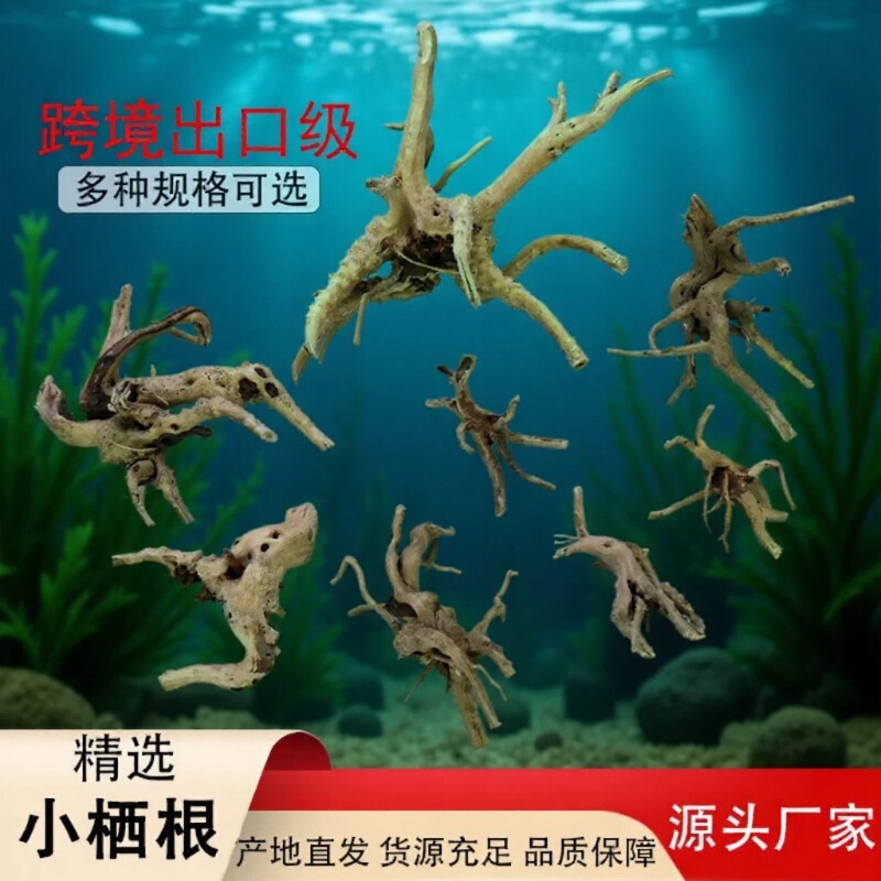 Aquarium Landscape Driftwood Rockery Root Decoration Complete Set Bonsai Moss Tree Black Shell Shrimp Zebra Fish Small Root Decoration