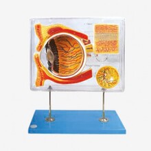 �О��t�� ��ʾ�̷Ŵ�ģ������ģ�������c�ۿ��Ŵ�ģ�ͽ���ģ��