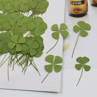 ���~�݉����ɻ�ֲ��˱����~�ӵ��z�Ʒ �������~diy�ֹ�ˇҰ�ɻ�