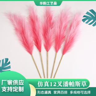 �羳����12�����˹�ݲ�֦�Ҿ��b¾Gֲ�ٻ������w����JȔ��c
