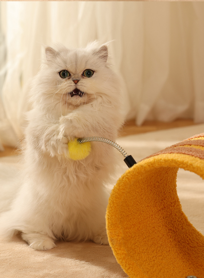 Cadre rampant pour animaux de compagnie Nid de citrouille Plateforme de saut Pilier Petit griffoir Jouet pour chat_voghion.com