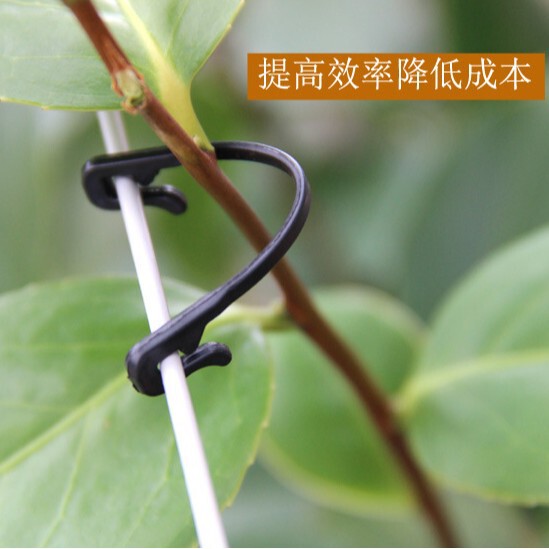 Wholesale grape tie with grape tie buckle buckle and clip vine fixed…