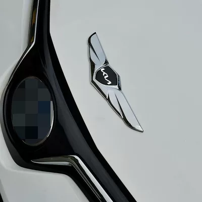 Smart Running Car Head Cover — Car logo - kia-new-standard-silver-with-black-label-flying