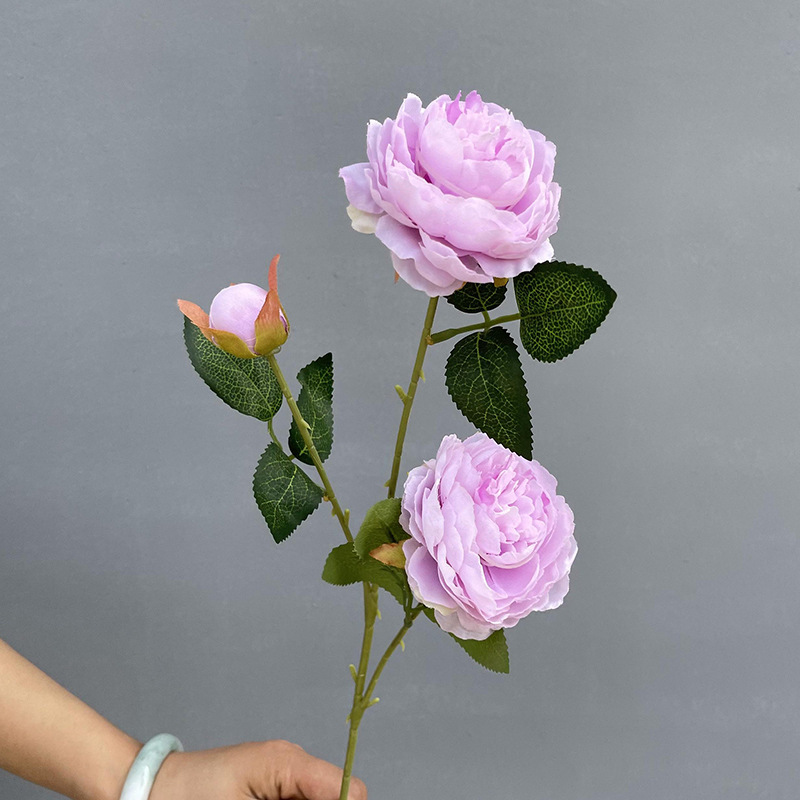 3 Foreign peonies-light purple