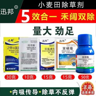 С�����݄� Ұ�����i���겥������~�ݼ��~����Ч��һ����p��