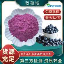 蓝莓粉野生oem商用 蓝莓果粉提取物食品级散装蓝莓粉现货包邮
