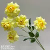 Petal rose