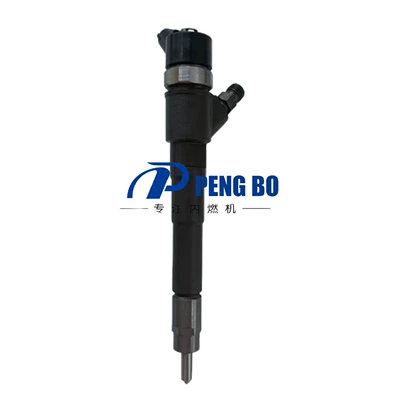 0445110273 Common Rail Oil pump, nozzle