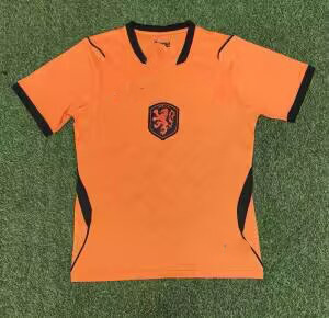 Netherlands home court / S